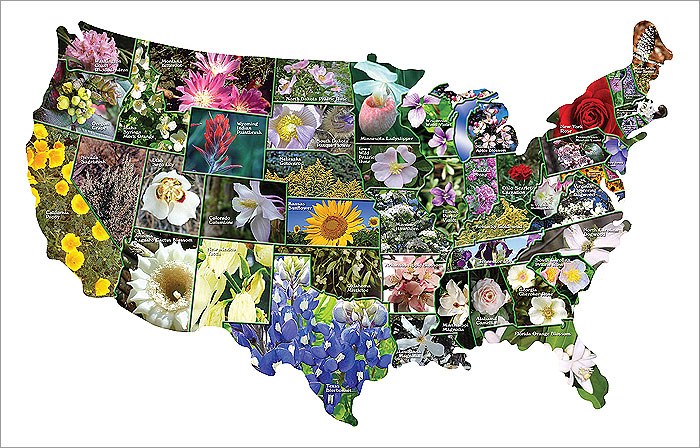 StateMap State Flowers