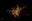 Houston Texas at Night Viewed from Space