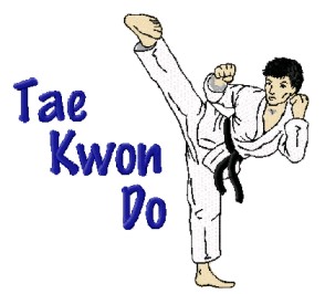 Tai Kwon Do Kick
