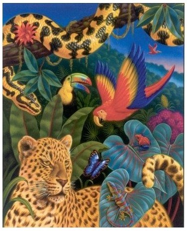 Favorite Animal