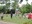 Easter Egg Hunt 2015