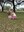Easter Egg Hunt 2015