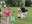Easter Egg Hunt 2015