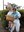My Pics With the Easter Bunny
