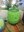 Green Crayon
