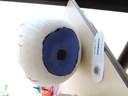 Eye See You...