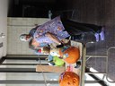 Pumpkin Bash 2016