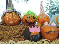 Pumpkin Bash Pumpkins Pumpkin Bash Pumpkins
