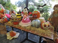 Pumpkin Bash Pumpkins Pumpkin Bash Pumpkins