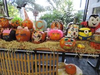 Pumpkin Bash Pumpkins Pumpkin Bash Pumpkins