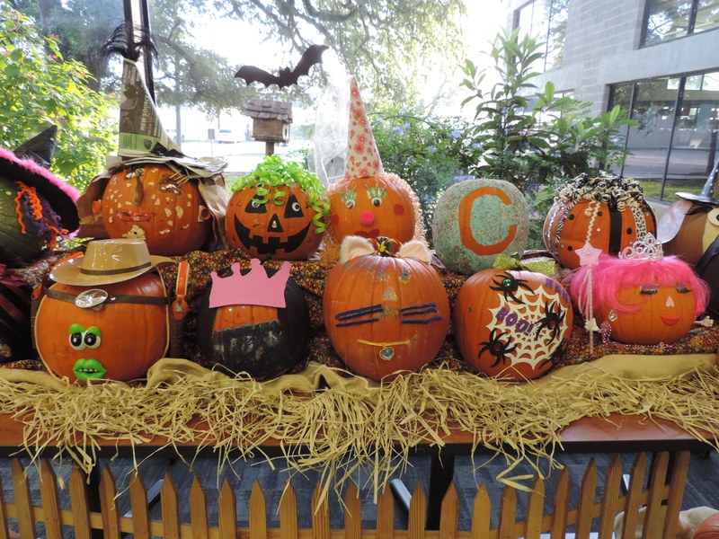 Pumpkin Bash Pumpkins