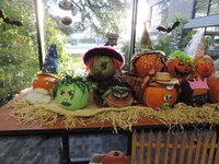 Pumpkin Bash Pumpkins Pumpkin Bash Pumpkins