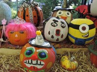 Pumpkin Bash Pumpkins Pumpkin Bash Pumpkins