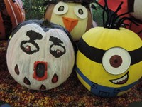 Pumpkin Bash Pumpkins Pumpkin Bash Pumpkins