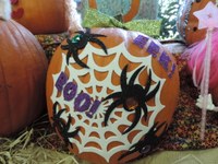 Boo Spider Boo Spider