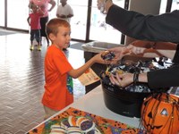 Pumpkin Bash Pumpkin Bash