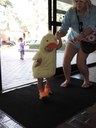 Quack, Quack Little Duck