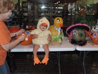 Pumpkin Bash Pumpkin Bash