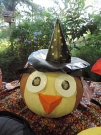 Witch owl Witch owl