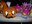 Pumpkins
