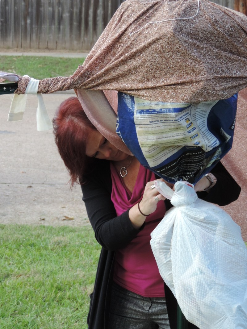 Scarecrow Exhibition