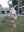 Scarecrow