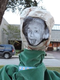 Einstein Einstein