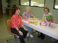 Friends of the Library