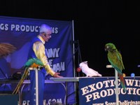 Sonny "The Birdman" Sonny "The Birdman"
