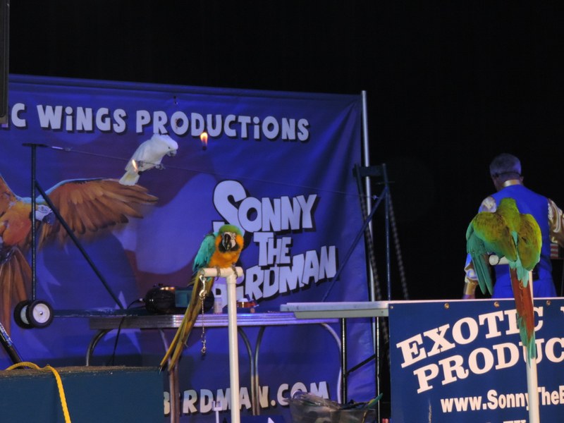 Sonny "The Birdman"