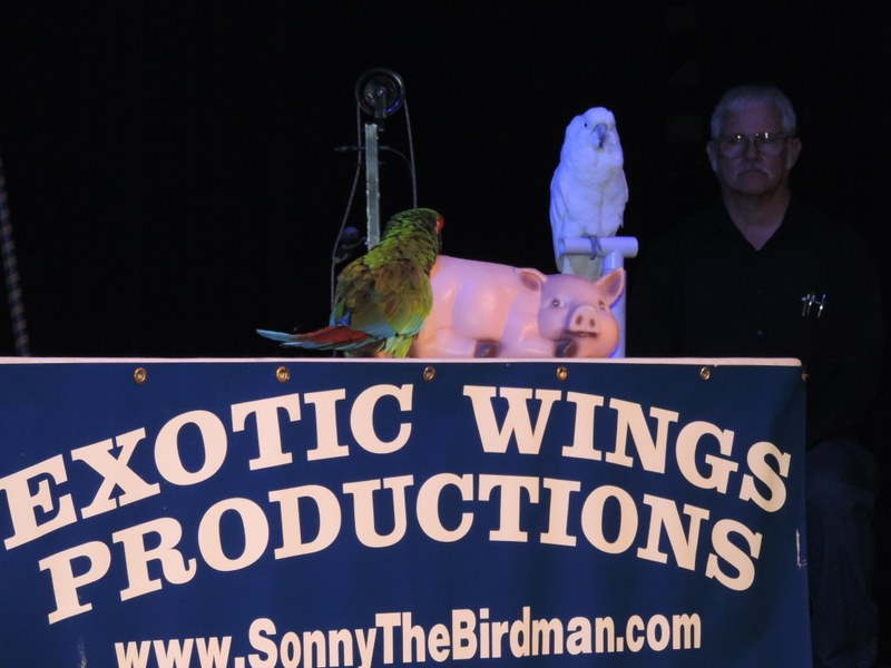 Sonny "The Birdman"