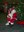 Pictures with Santa